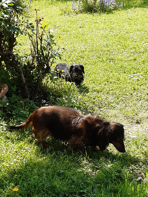 [Image: 20230502-115755.jpg]