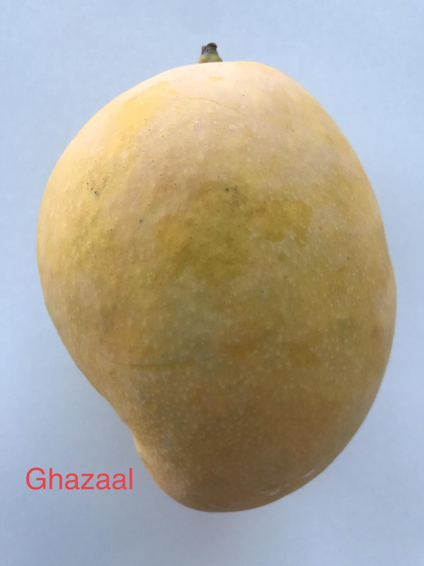 15458220973AD2F7FF-45A7-4DB5-BA2E-57F681AFF918