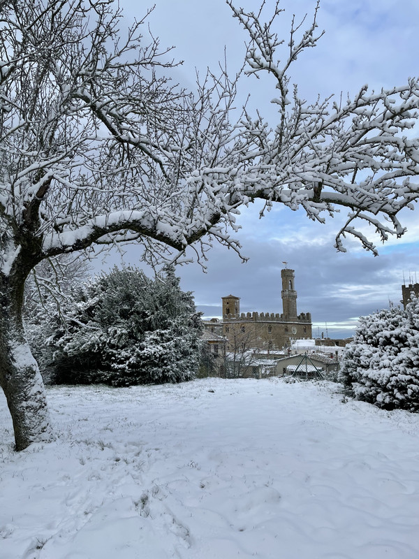 CF993960-B503-400C-9404-E8B400E33455