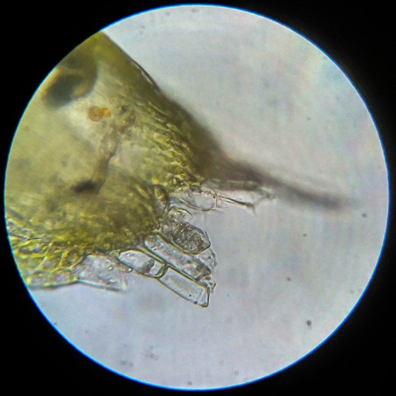 IMG 20250614 204034 HDR