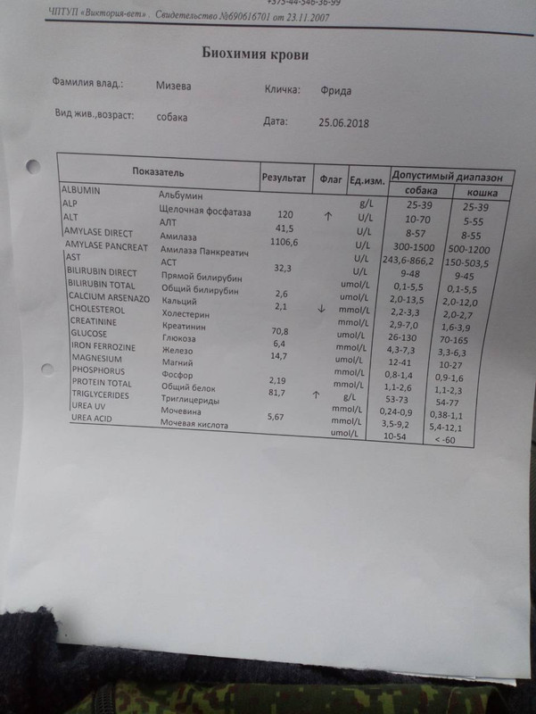 фрида кровь