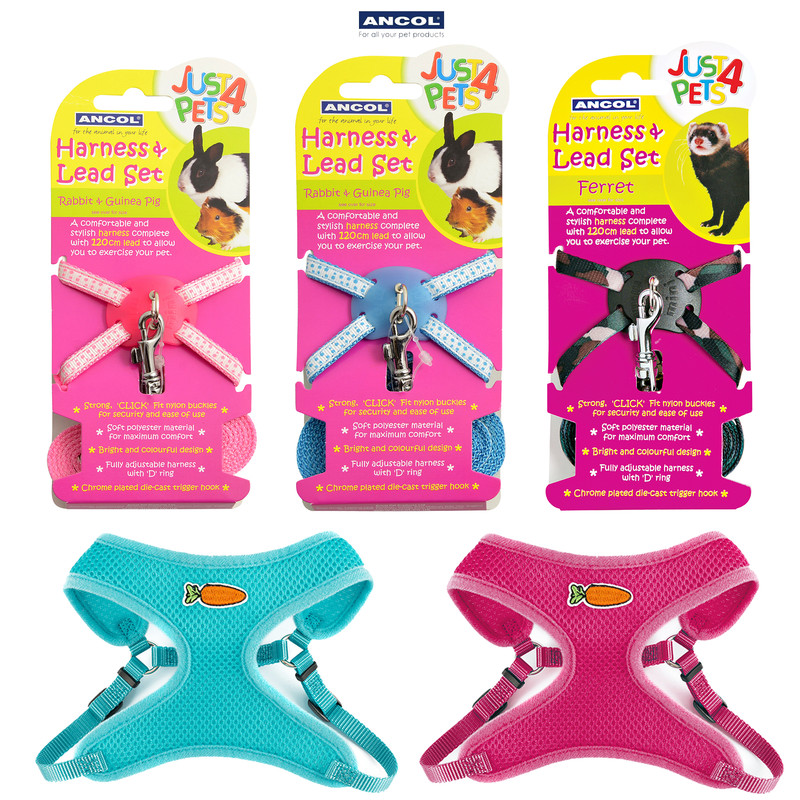 harness and lead set