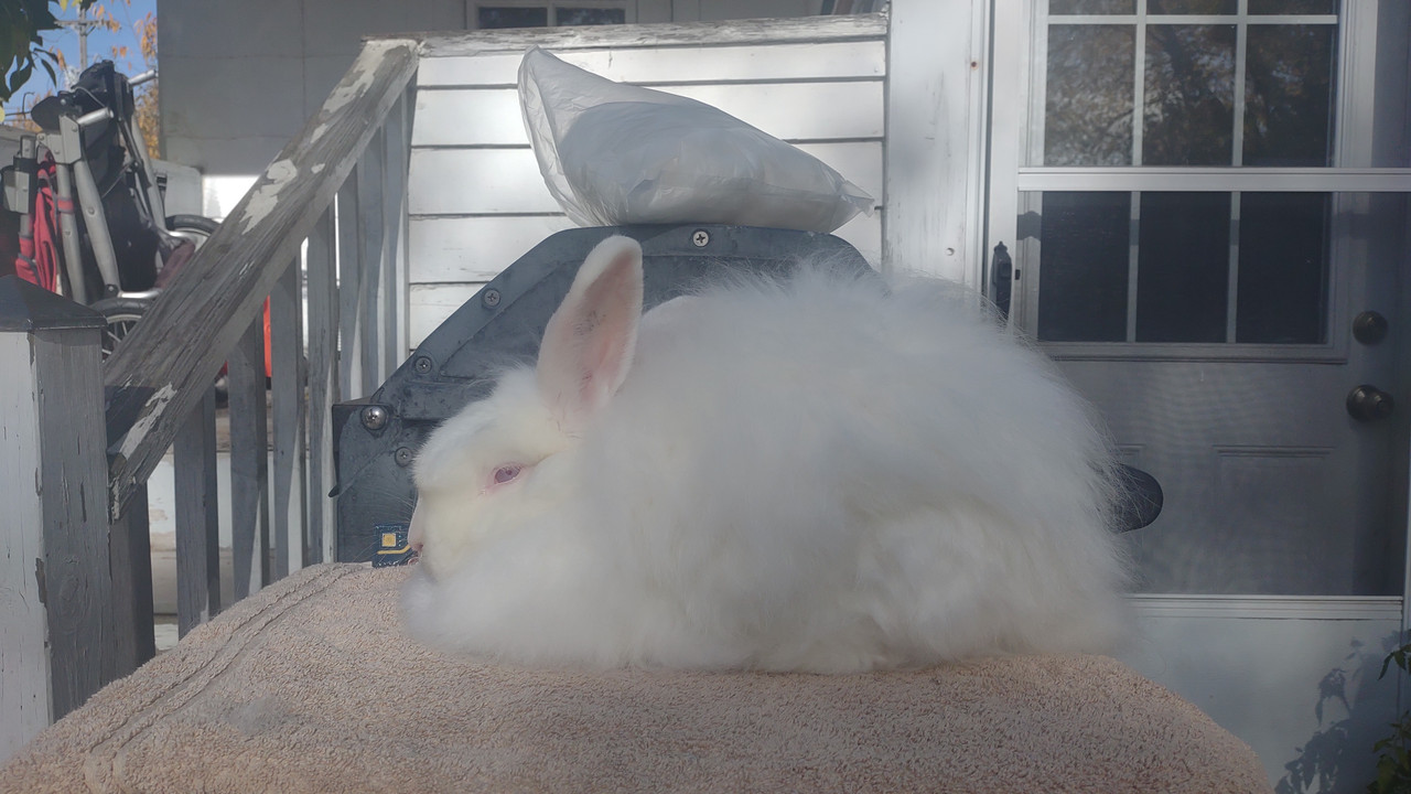 IMG 20251106 114922087