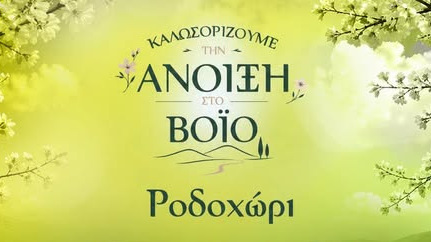 κοζάνη, ειδήσεις, νέα, Πτολεμαΐδα