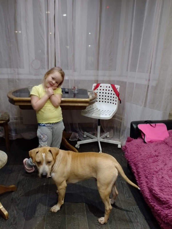 A9A2A560-0049-460F-B633-AF60FC5598FB