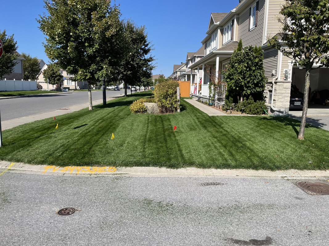 E646D4AA-7C5E-4050-BF6F-7EB111D63971