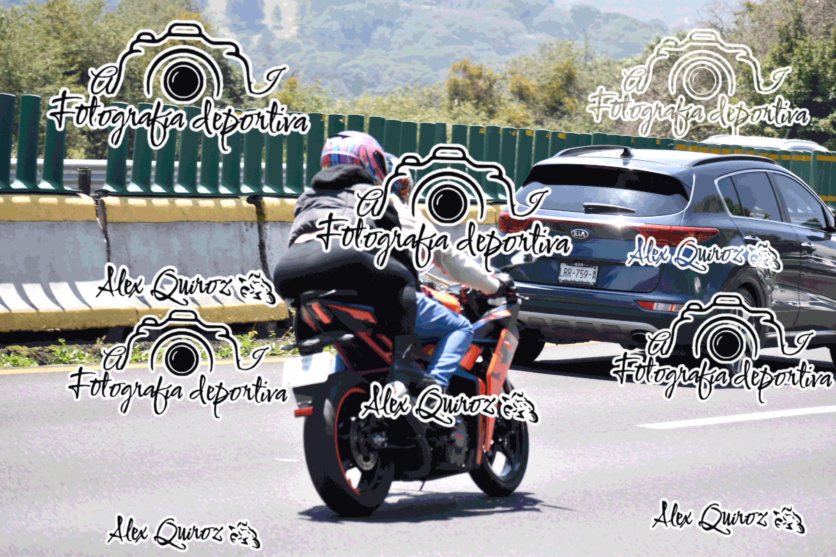 AVQ 7449 — Postimages