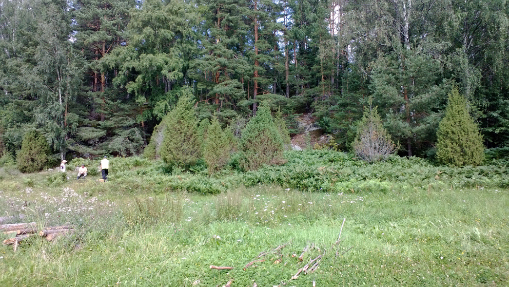 isäntäväki