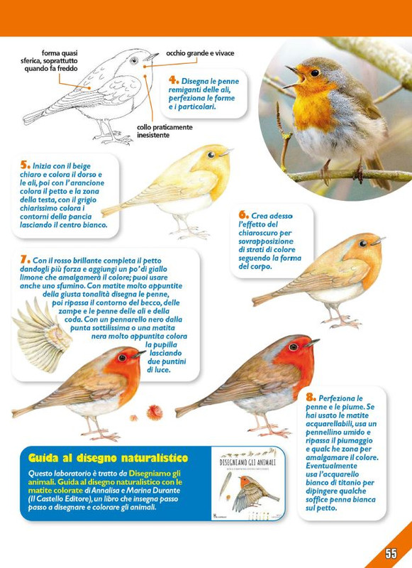 Foc Wil - Dic 2023 (10)