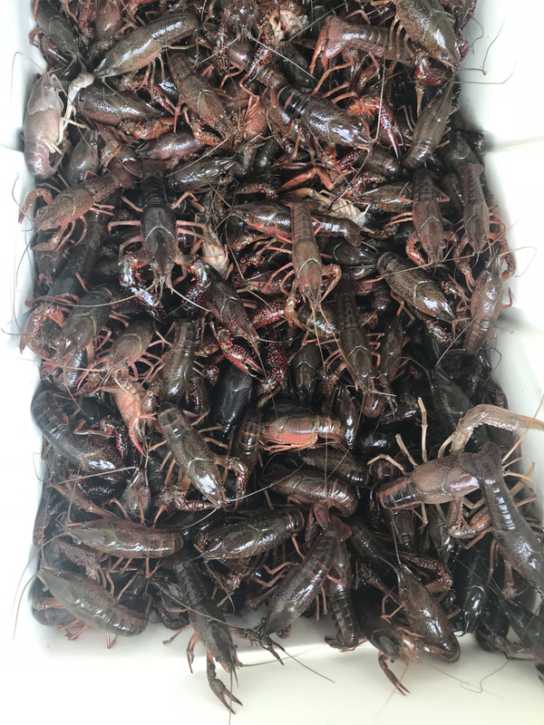 0EB49F4D-7ECE-4662-A3FF-CA4F28C6AF61