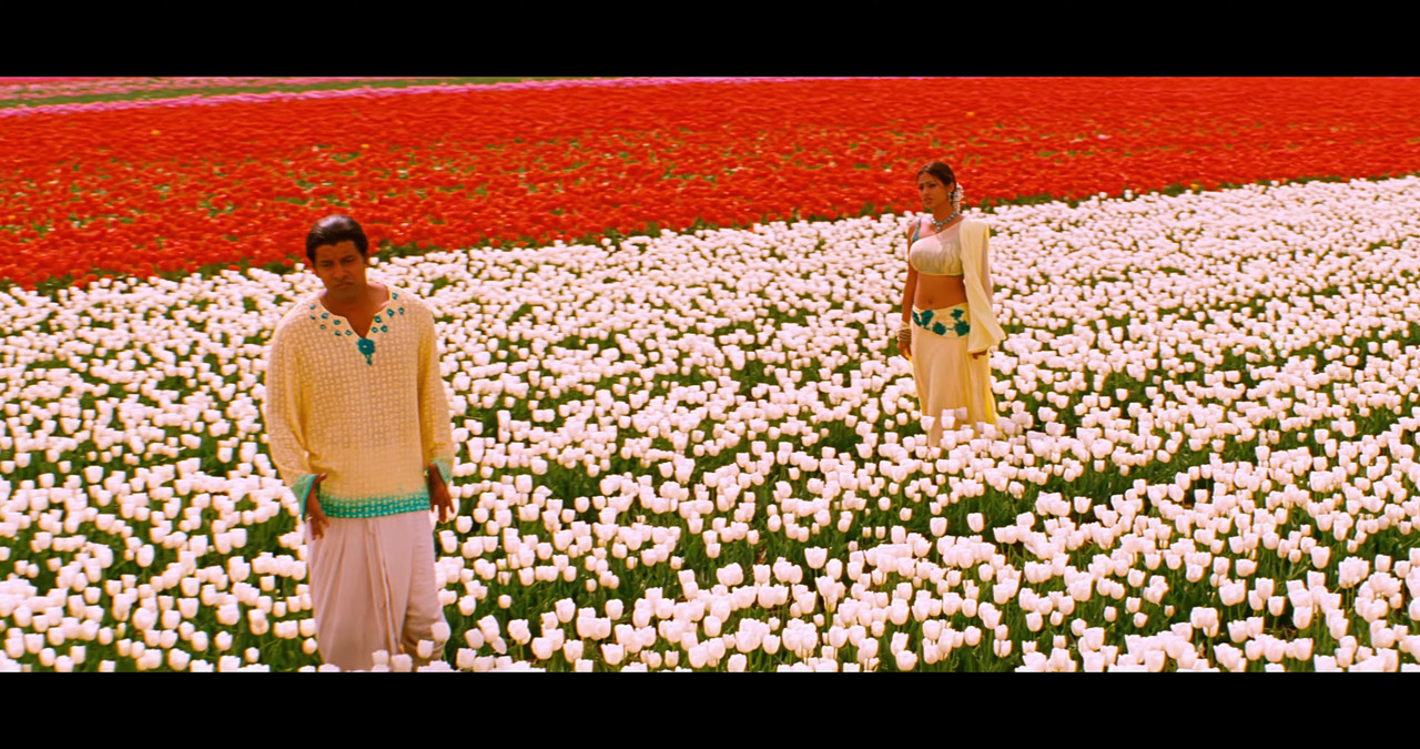 VideoCapture_20241122-195840