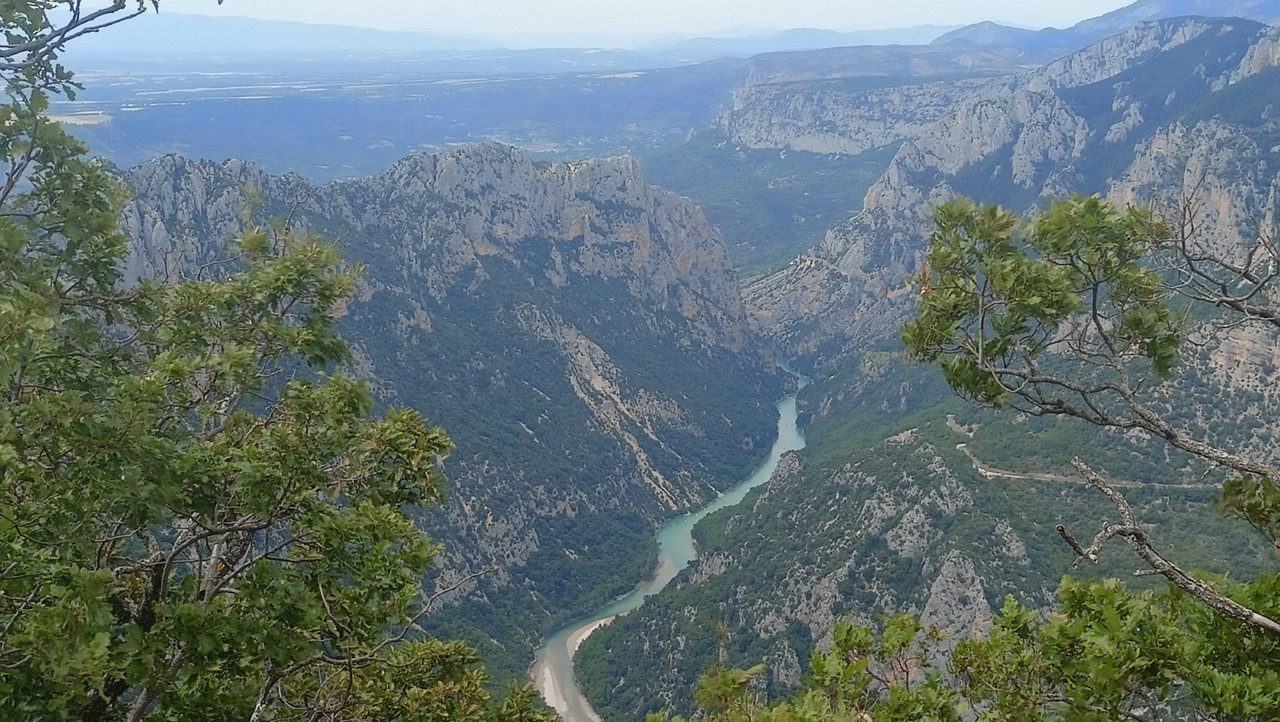 IMG20250804150919 (Large)