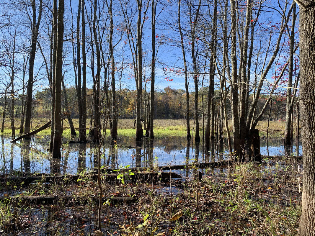 960C8FC8-37FE-4372-A0A4-EFEDFC23F0C1