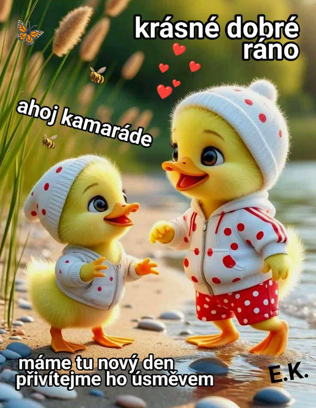 671873218-926067897084161-3392534974473902845-n