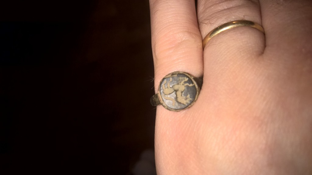 WP_20150329_18_09_46_Pro