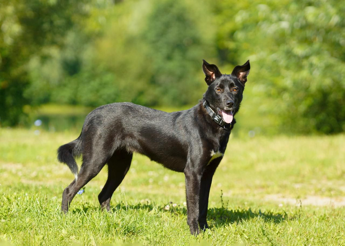 Изображение WhatsApp 2025-08-27 в 07.54.06_d260b857