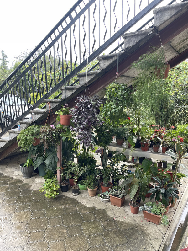 887491F0-3A81-4334-BD69-53169C234D2A