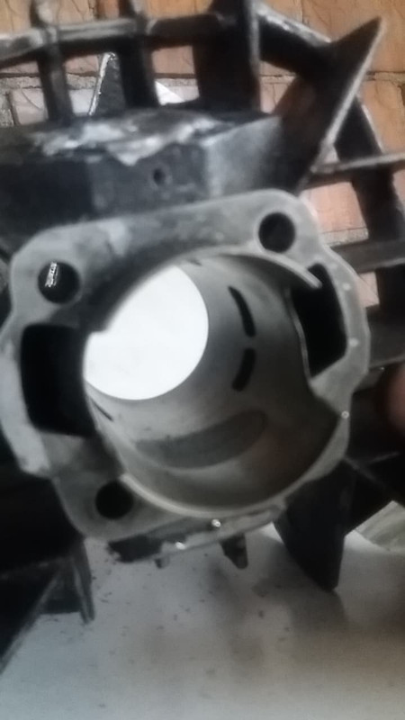 56679485_295466348049369_5550447298170847232_n