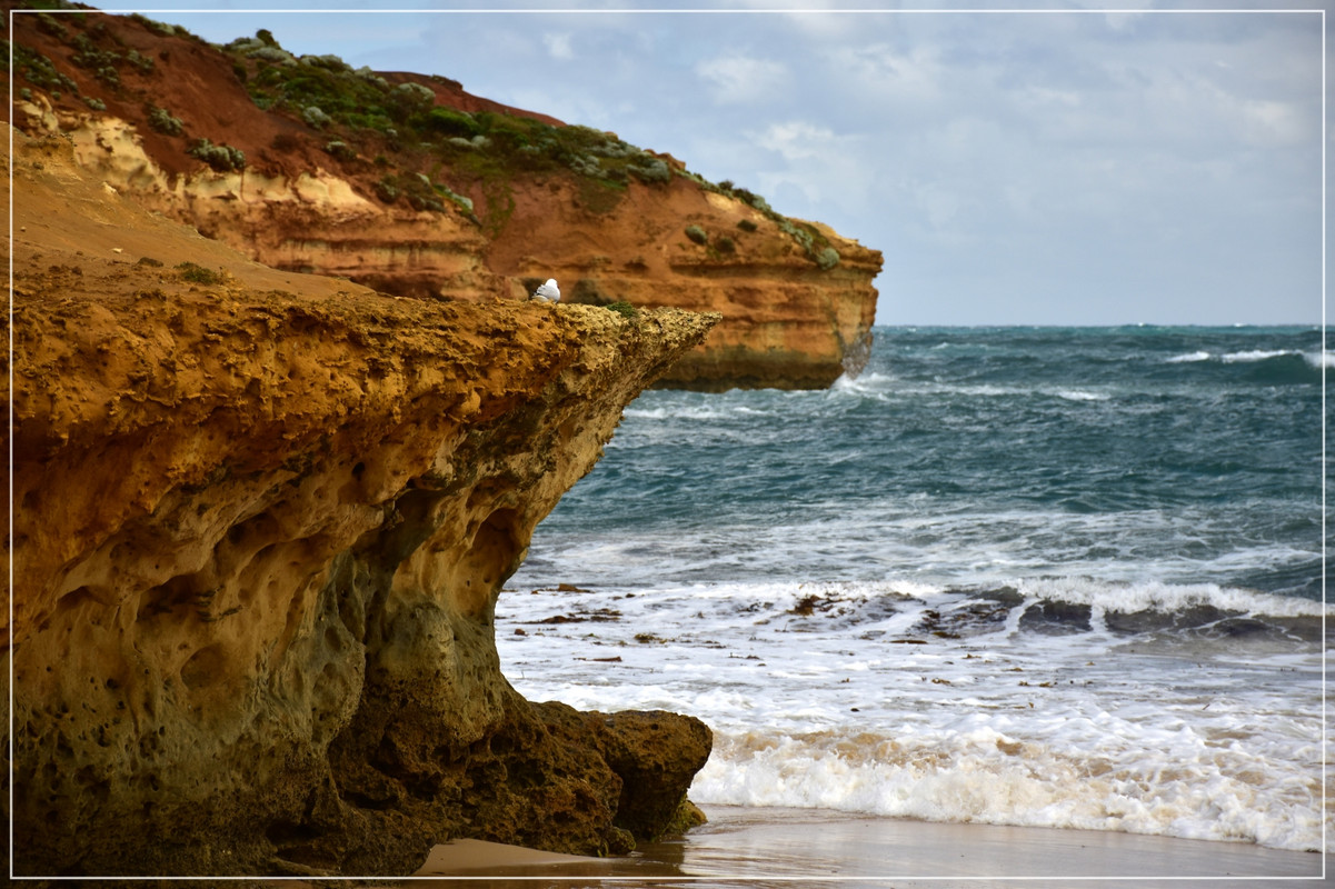 Great Ocean Road - Australia (I): toma de contacto (52)