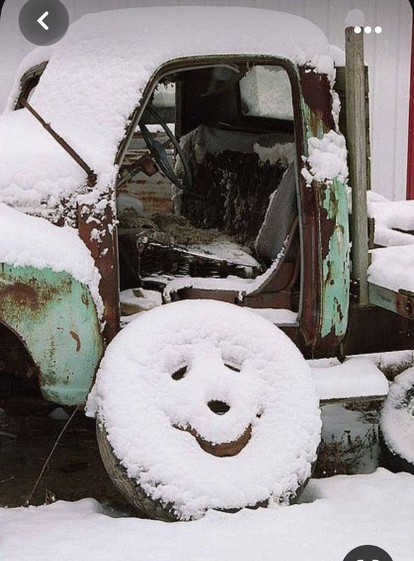 Screenshot_20231102_121102_Pinterest