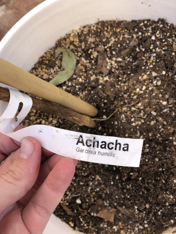 646F8535-0713-4CB4-9FC8-7C20F6985B61