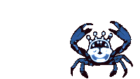Dancing Crab