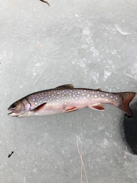 8954CF09-CBE3-4C41-8EFC-831ACD74FC2F