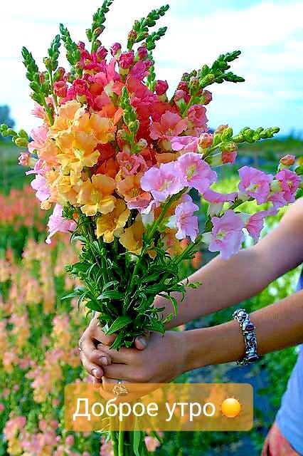 DEE6CA06-E792-486C-8E40-CD68FBE9F504