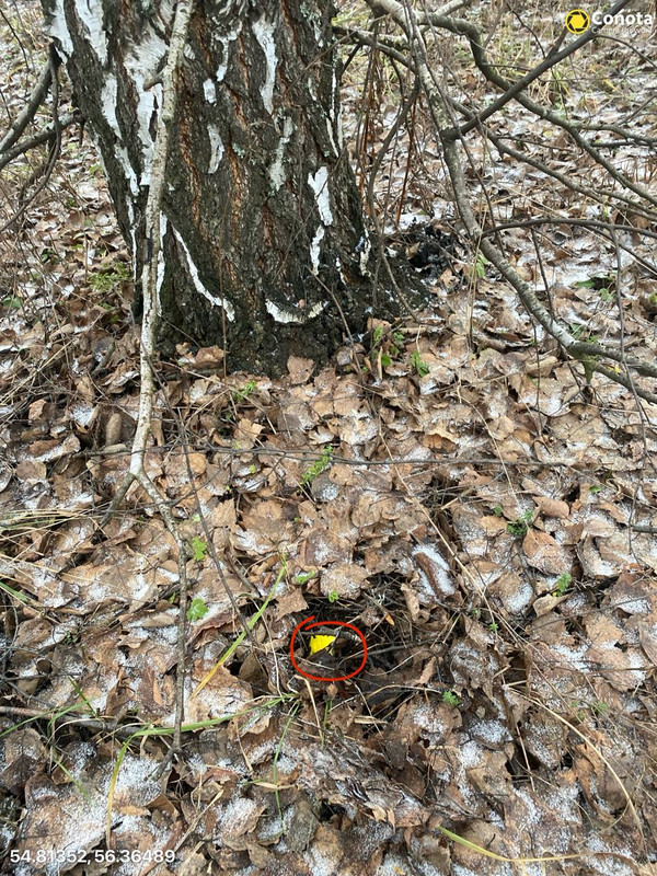 photo 29 2025 12 06 17 46 06