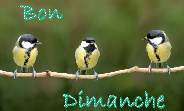 DIMANCHE 24 MARS 2019 DIMANCHE-MESANGES