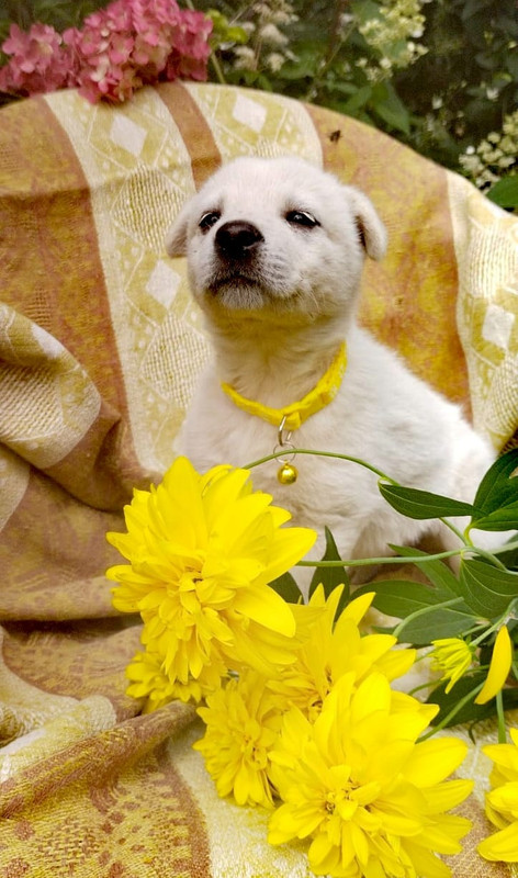 Изображение WhatsApp 2025-08-19 в 13.02.08_446fea46