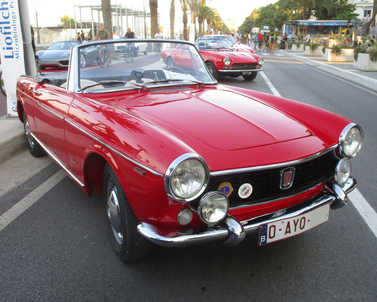 IMG-9060.jpg