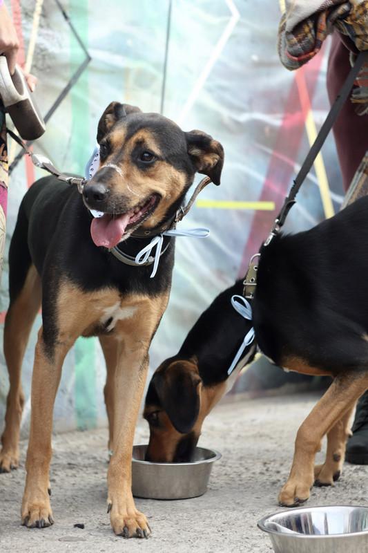 AAA05793-026B-42EA-BC4A-E748027DFC1B