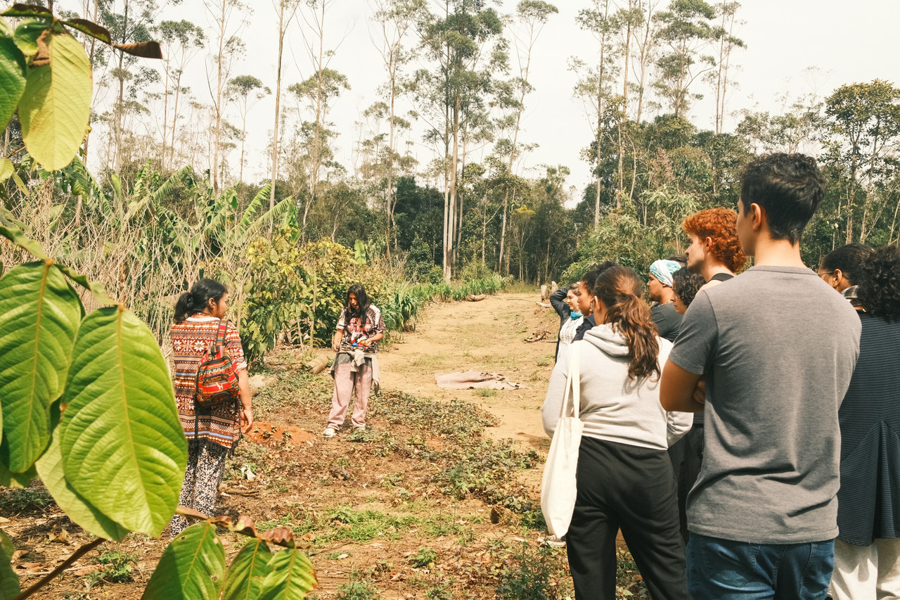 People gathering during a Metta Tropical experience