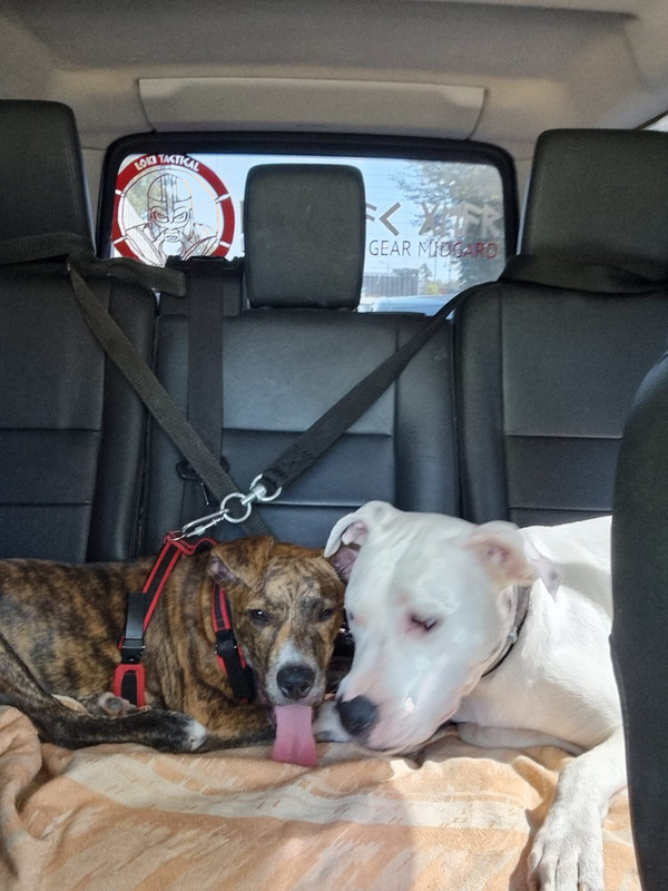 8C05AA05-1236-4A5D-974A-331508F274E7