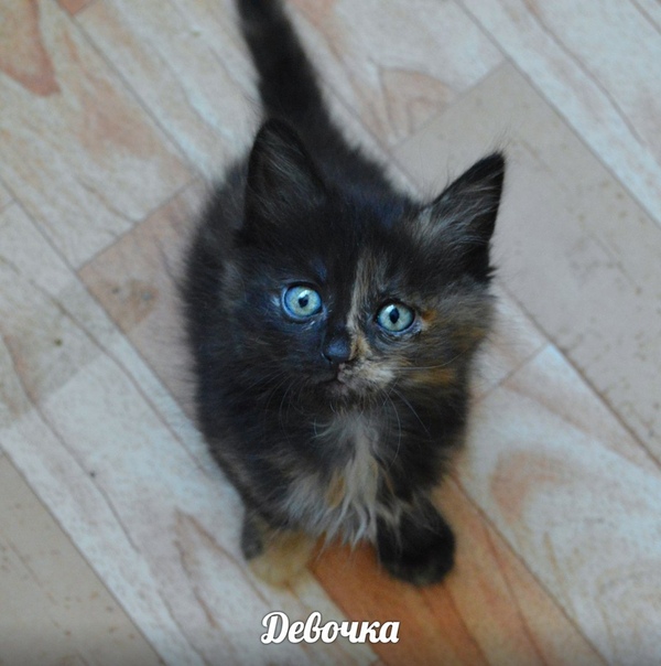 E169C9EB-B75F-4C0B-877D-584B8BD24339