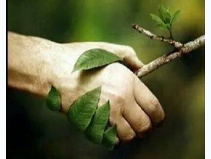 Screenshot-2021-09-15-16-00-21-432-com-a