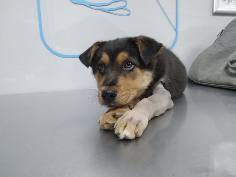 изображение_viber_2022-12-10_22-37-06-981