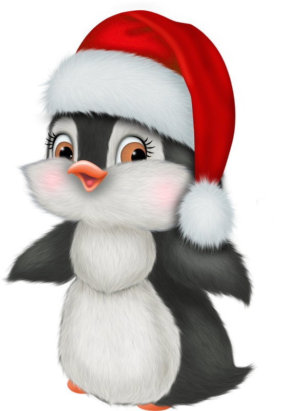 Christmas in Forest16