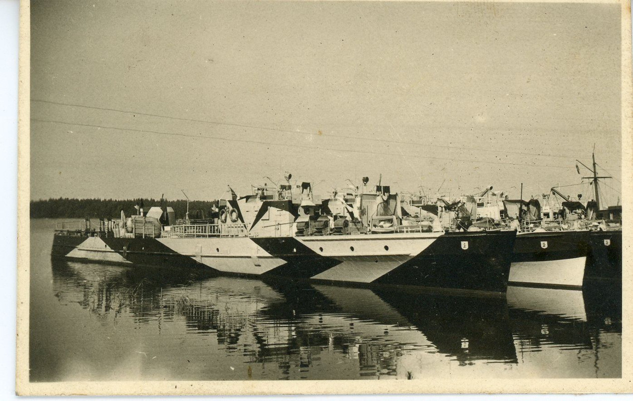 Schiff Minensucher Marine Zerstörer Tarn Camo Fo