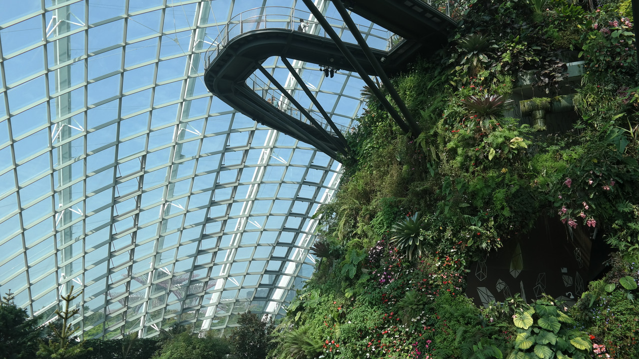Cloud Forest 34