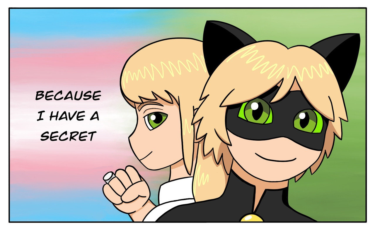 In the center of the panel is Adrienne, who is facing away from the camera but looking over her left shoulder with a mischievous look on her face. She's wearing a silver ring on her right hand, which is held up in a fist near her chin. To her left is Cat Noir, who is smiling. The background on the left half is the trans flag with the stripes slightly blurred together, and the background on the right is light green. The text in the center left says "because I have a secret".