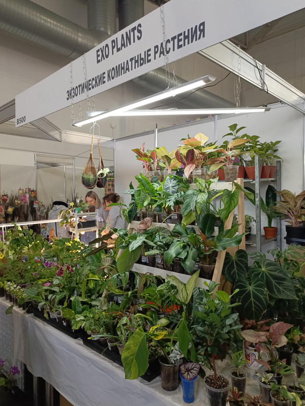 IMG_20250424_150051_916