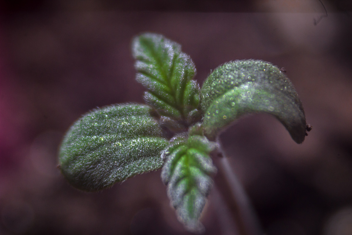 seguimientoindoor1.01 (3 de 13)