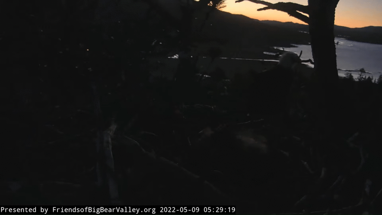 Webp.net-gifmaker (1)