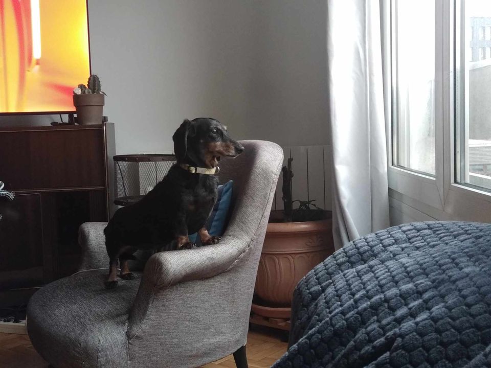 [Image: 466029109-2037243250125072-8282738797865792960-n.jpg]