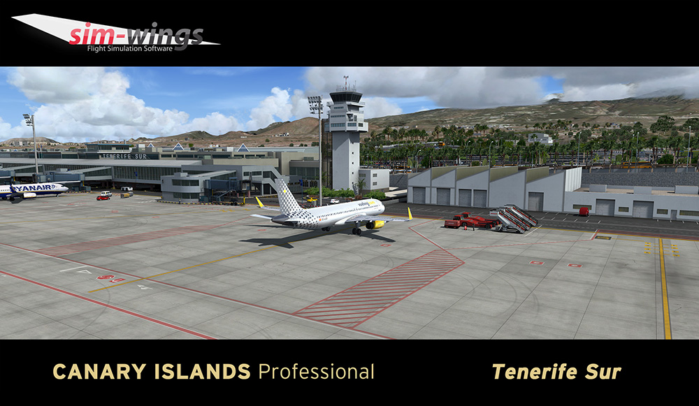 canary-islands-prof-tenerife (11)