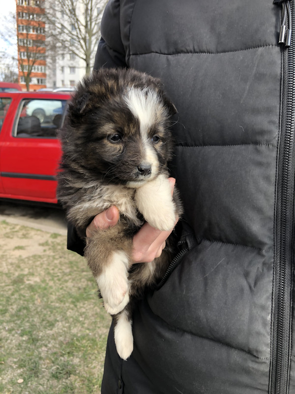 43414789-90E5-40D7-835D-474B7EB15696