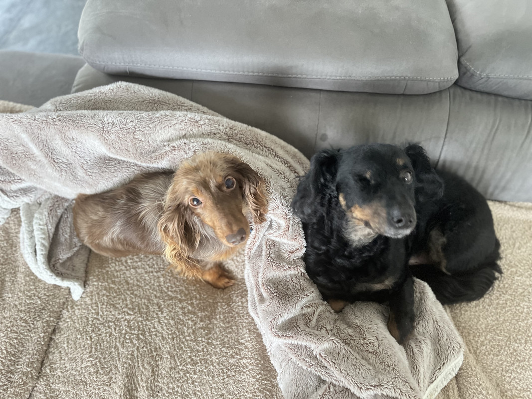 [Image: IMG-1507.jpg]