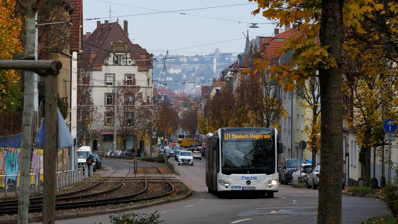 [Bild: 081125-121857-271b.jpg]